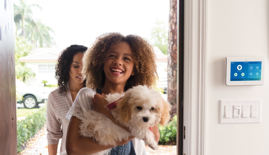 ADT Security System in a Asheville home